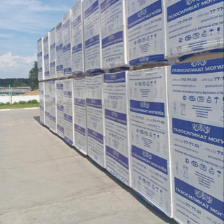 Газоблоки 250*200*600